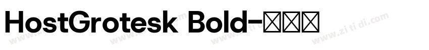 HostGrotesk Bold字体转换